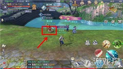 照顾小兔宝宝
