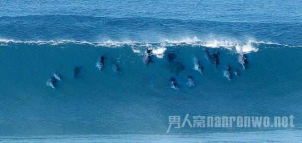 20元羊汤5片肉?能宰一个算一个?