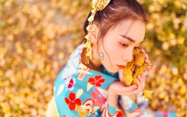 自由勇士历险记2